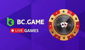 Unlock Exciting Free Spins at BC.Game -224609999
